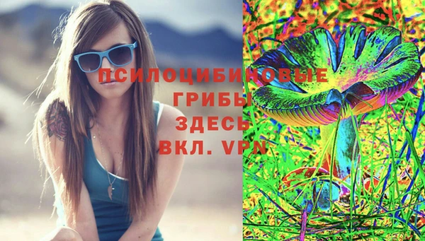 винт Алексеевка