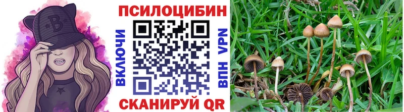 наркотики  ссылка на мегу ссылки  Галлюциногенные грибы прущие грибы  Куровское 